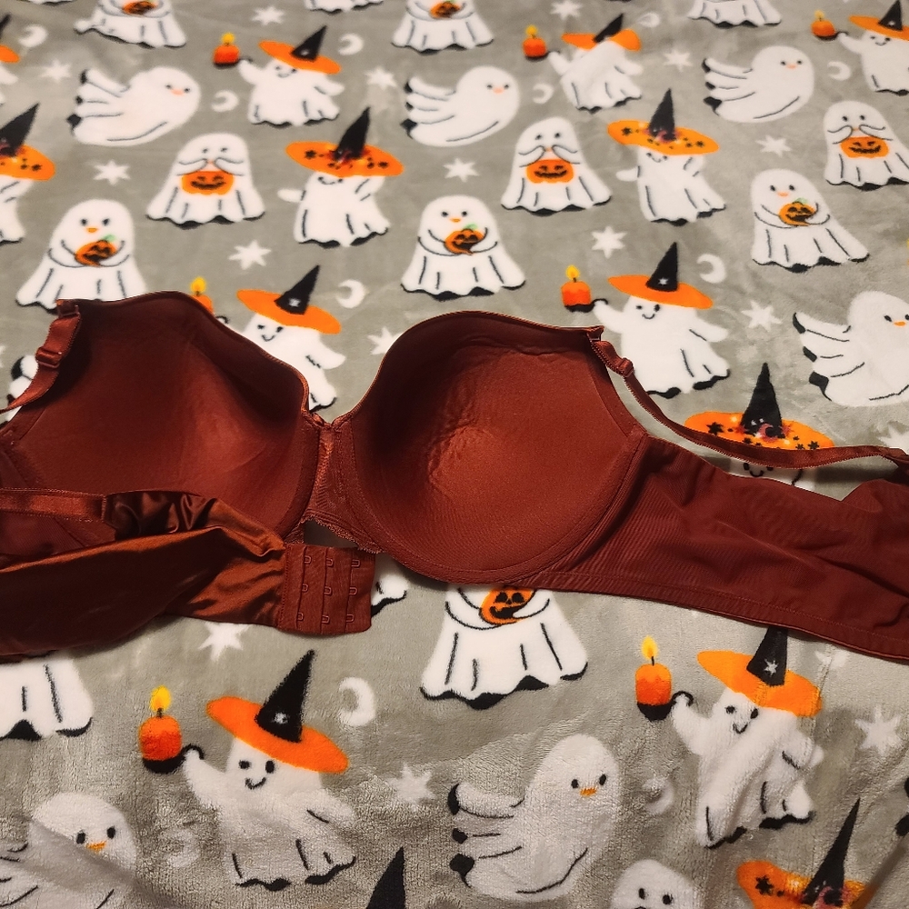 Bra - Picture 3 of 5